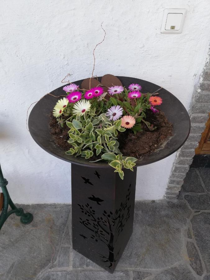 Fruehstueckspension Alpenrose Bed & Breakfast Iselsberg Eksteriør bilde