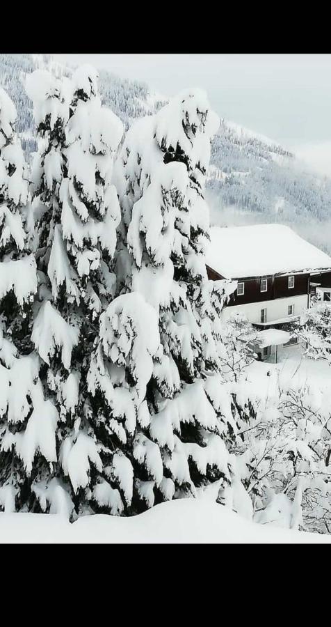 Fruehstueckspension Alpenrose Bed & Breakfast Iselsberg Eksteriør bilde