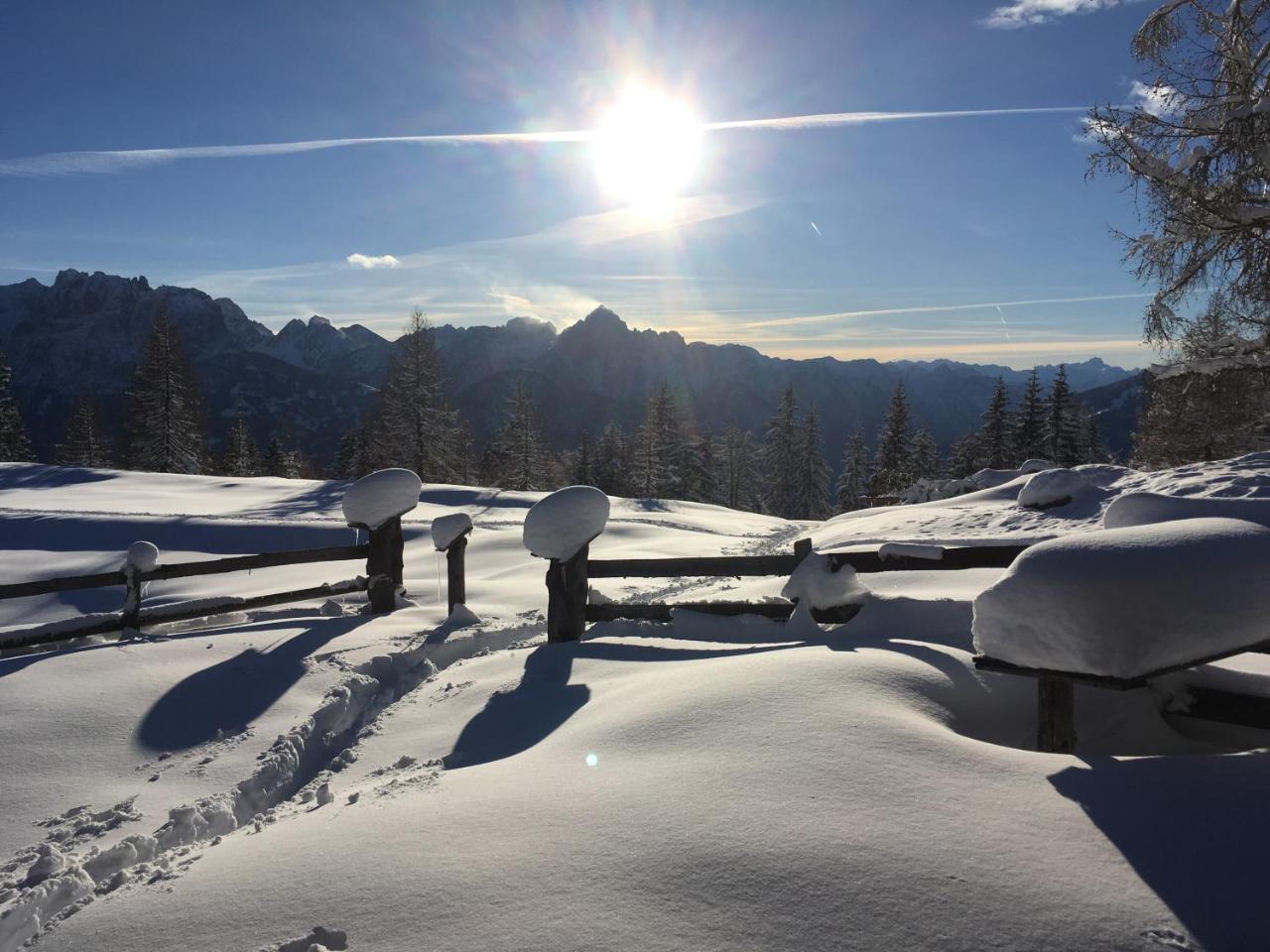 Fruehstueckspension Alpenrose Bed & Breakfast Iselsberg Eksteriør bilde