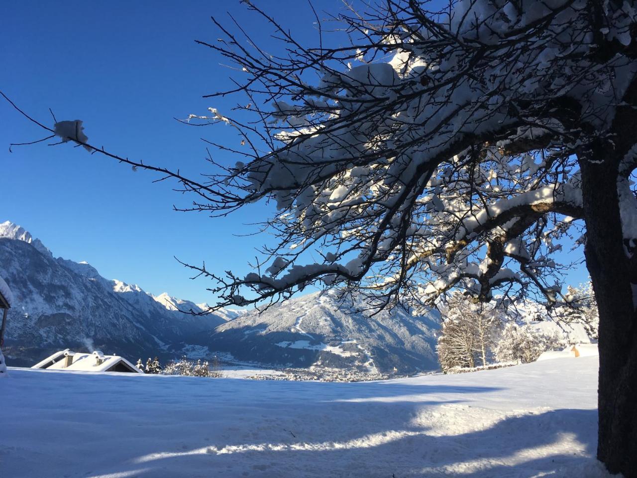 Fruehstueckspension Alpenrose Bed & Breakfast Iselsberg Eksteriør bilde